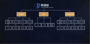 500萬美元A輪融資背后的商業(yè)藍(lán)圖 TAC溯源鏈與信息系統(tǒng)集成服務(wù)的深度融合